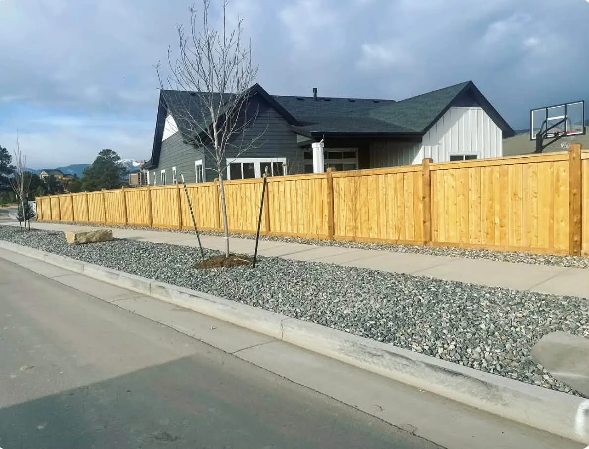 Gravel strip with young trees along a sidewalk below a wood fence